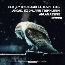 Diyanet Tv Panosundaki Pin