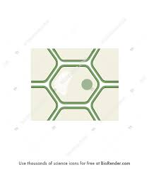 We did not find results for: Biorender Life Science Icons