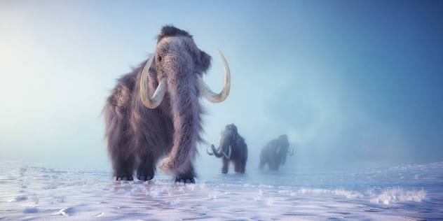 What Killed Off Giant Animals of the Ice Age? | HISTORY