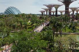 Gardens By The Bay Grant Associates Singapore Garden World Architecture Festival Gardens By The Bay