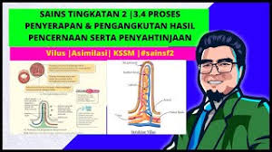 Check spelling or type a new query. Sains Tingkatan 2 3 4proses Penyerapan Dan Pengangkutan Hasil Pencernaan Kssm Sainsf2 Youtube
