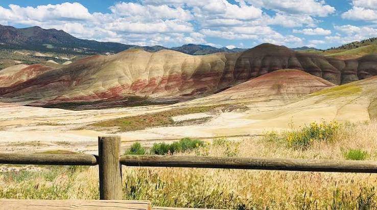 Painted Hills - All You SHOULD Know Before Going 2026 (with Reviews)