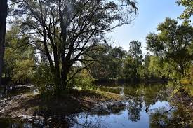 Lots of wildlife to see! anna hess. Another Pond Picture Of For Mar Nature Preserve Arboretum Flint Tripadvisor