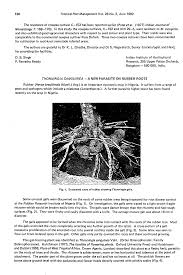 Image result for Thonningia