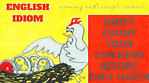 English Idiom Don T Count Your Chicken Before They Hatch Meaning Example Sentences Youtube