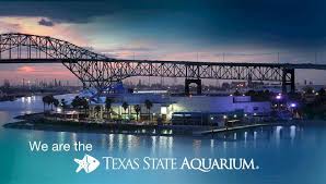 Texas State Aquarium Family Vacations In Texas Family Road Trip Packing Corpus Christi