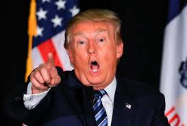 Image result for Donald Trump