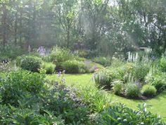 Olympus Digital Camera Geheimer Garten Gartentipps Garten