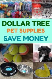 Dollar Tree Pet Supplies A Snorkey Day Dog Supplies Pet Supplies Pet Supplies Dog