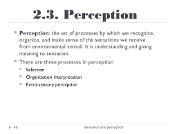 Perception Definition Perception Definitions Perception Process