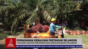 They are listed on the left below. Perbadanan Kemajuan Pertanian Selangor Pkps Pkps Tunjang Sektor Pertanian Dan Agro Makanan Selangor Facebook