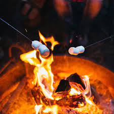 It's a great opportunity to teach fire safety and cooking skills while enjoying a snack. 5 Things To Elevate Your Next Backyard Campfire Outside Online