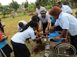 Growing Together - Empowering Children With Special Needs Through Inclusive  Tree Planting - Treescape Planet