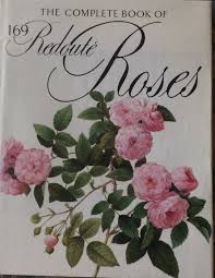 Rare redoute rosa noisettiana flower botanical white pink print art roses rose. Pierre Joseph Redoute 1759 1840 A Little About The Man And His Roses The Rosarian Library