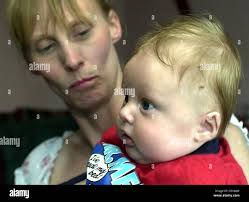 Fox Attacks baby Louise Day Stock Photo