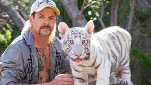 We did not find results for: Store Katte Drab Og Flerkoneri Derfor Er Tiger King Netflix Serien Alle Taler Om Kultur Dr