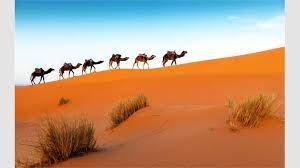 Click to recommend this page: In The Desert Beziehen Microsoft Store De De