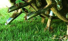 Get quotes & book instantly. Lawn Aeration Lawn Care In Perth Auchterarder Crieff