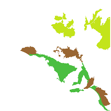 Image result for Salicornia pachystachya