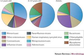 Random number datasets are generated in this example. The Microbiology Of Asthma Nature Reviews Microbiology