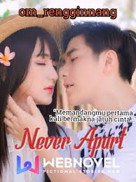 Devils Never Cry Novels & Books