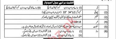 Punjab Police Constable Jobs 2020 Male Job Police Punjab