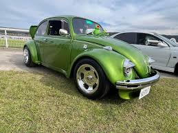 Image result for Delta Green 1970 Volkswagen