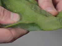 E Una Delle Piante Piu Versatili In Natura Le Cui Foglie E Il Gel Hanno Proprieta Ultra Benefiche Sulla Pelle Il Sistema Immunitario E Aloe Vera Aloe Succhi