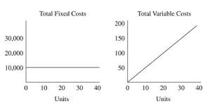 Fixed and variable costs in ecommerce (with examples). Cost Behavior