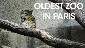 The zoo has clearly been improved recently, as most of the enclosures were roomy, and the animals happy. The Oldest Zoo In Paris The Menagerie In Jardin Des Plantes Paris Youtube