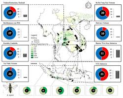 You can trust us for top of the line pest control services in the. Continental Scale Suppression Of An Invasive Pest By A Host Specific Parasitoid Underlines Both Environmental And Economic Benefits Of Arthropod Biological Control Peerj