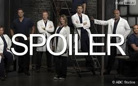 Grey's anatomy saison 11 vostfr et vf en streaming gratuitsérie créée par shonda rhimesavec : Grey S Anatomy Saison 11 Episode 8 Un Final De Mi Saison Dramatique Purebreak