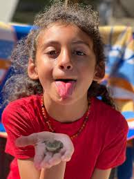 Amanda Ficklin Suarez (@amandaef) • Instagram photos and videos