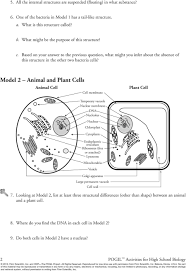 Organelles make up the subunits of a cell. Cell Biology Prokaryotes And Eukaryotes Worksheet Answers Worksheet List