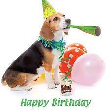 Beagle Happy Birthday Blank Card Party Hat Puppy Dog Cake Balloons Freepost Ebay Dog Birthday Beagle Puppy Dog Birthday Party