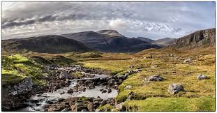 Wandern sie durch die sanften hügel und das sattgrüne ackerland der lowlands oder fahren sie durch die tiefen täler zwischen den bergen der highlands. Landschaft Ohne Baum Und Strauch Foto Bild World Schottland Natur Bilder Auf Fotocommunity