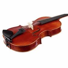 نتیجه جستجوی لغت [viola] در گوگل
