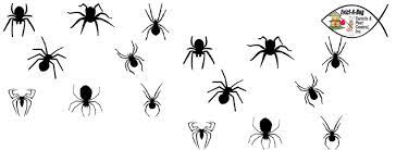 Welcome to all about bugs, termite & pest control, inc. Evict A Bug Termite Pest Control Home Facebook
