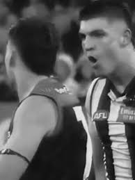 brayden maynard #afl #edit #collingwood