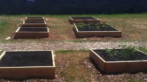 Raised gardens are a fantastic alternate means of gardening in that they ensure you'll be able to have healthy, fresh crops all the time. Fall A Good Time To Create Raised Garden Beds