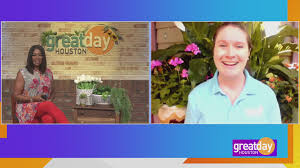 How long should you water to get one inch? How To Keep Your Lawn Green And Lush Khou Com