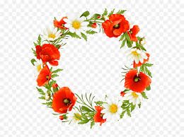Library Of Fall Flower Crown Png Black Red Flower Wreath Png Free Transparent Png Images Pngaaa Com All our images are transparent and free for personal use. pngaaa com