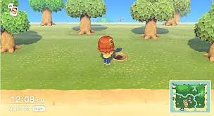 Dig a hole twice as deep and twice and wide as the root ball of the tree you are planting. Animal Crossing New Horizons How To Plant Fruit Their Prices