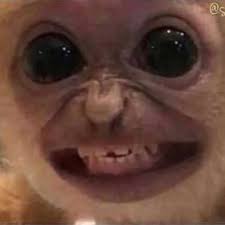 Anthony Ojeda (@_tonyojeda) • Threads, Say more