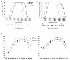 Image result for Pentadesma