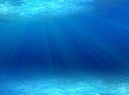Under The Sea Ocean Images Under The Sea Images Sea And Ocean