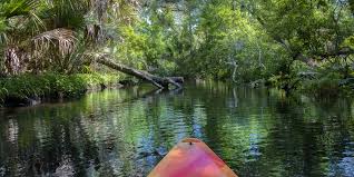 #23 best value in florida that matches your filters. National Forests In Florida Home