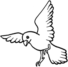 35 desenhos de passaros para colorir pintar imprimir ou preparar atividades aves para col hayvan boyama sayfalari boyama sayfalari ucretsiz boyama kitaplari