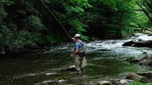 Players can currently fish in water, lava, chocolate and plasma. North Carolina S Davidson River Is A Trout Fisherman S November Treasure Trove