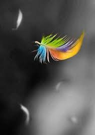 Beautiful Black And White Photography With Color Splash Pin By Sandy Demers On Imagens Novas Color Splash Photo Color Splash Black And White Pictures